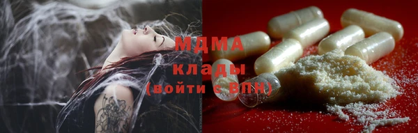 PSILOCYBIN Горняк