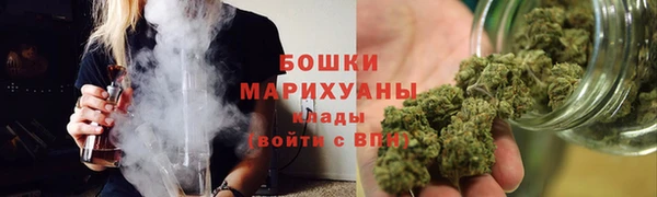 PSILOCYBIN Горняк