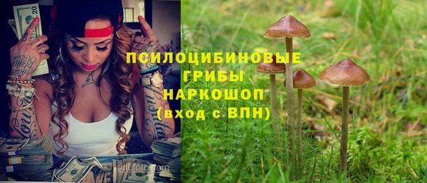 spice Надым