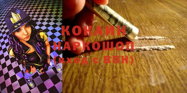 PSILOCYBIN Горняк